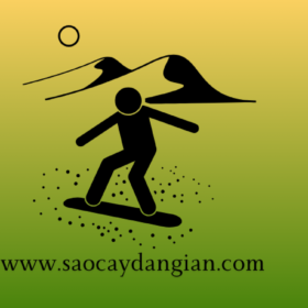 www.saocaydangian.com_banner